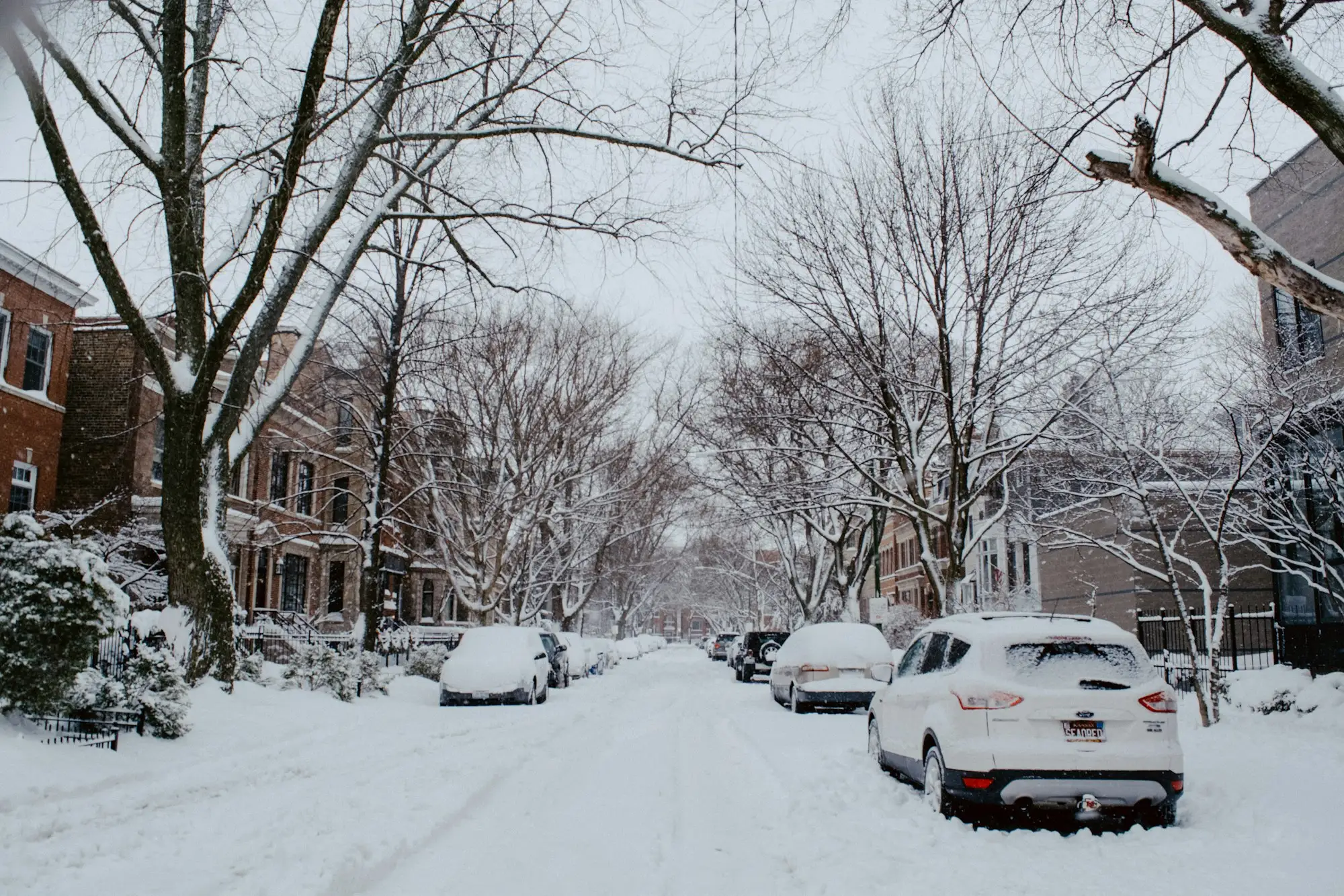 A snowy residential street lined with brick houses and bare trees, with cars parked under snow along both curbs.